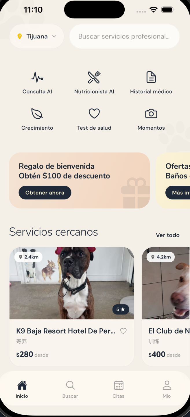 Patitas app — pantalla de inicio